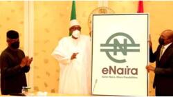 CBN laments as fake eNaira Twitter account deceives Nigerians with N50bn giveaway after Pres Buhari launch