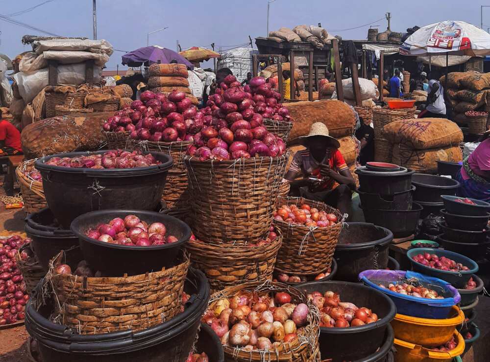 We’d rather waste farm produce instead of transporting them to the south, say northern traders