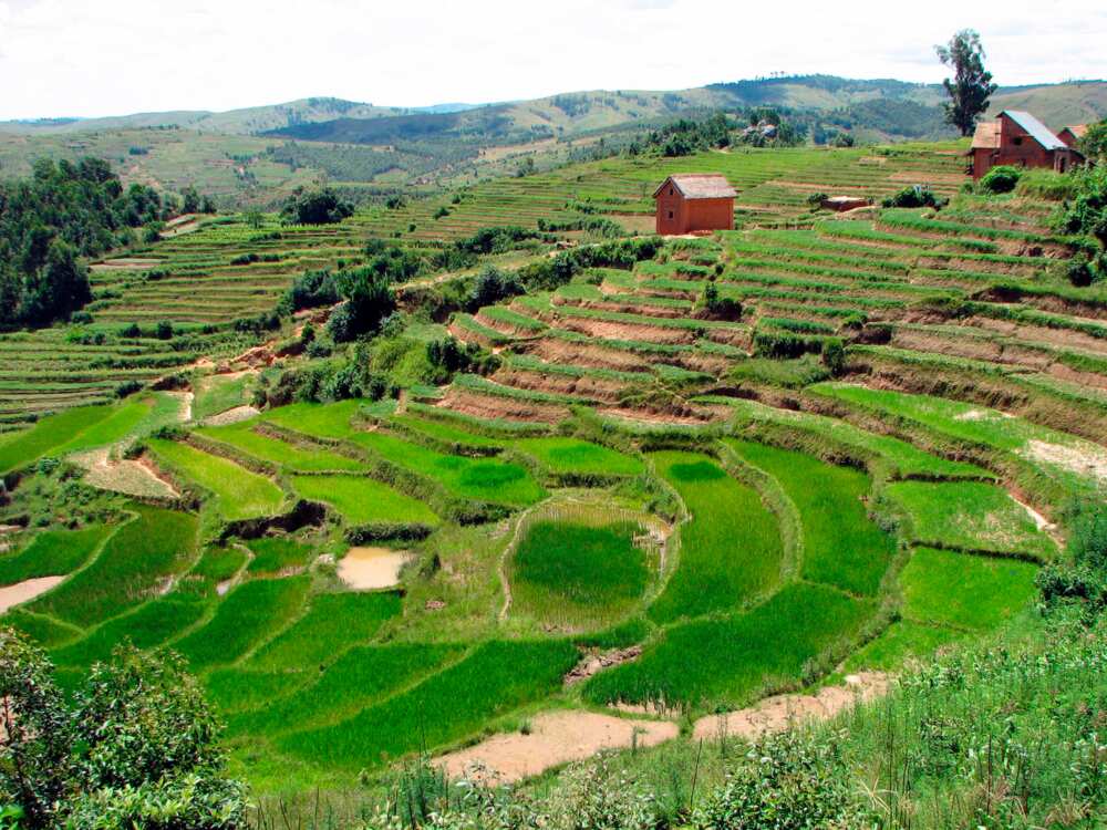 Terracing