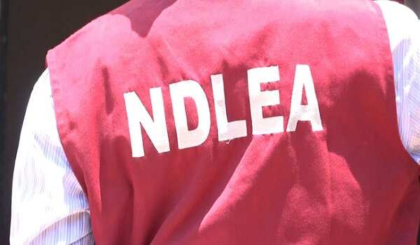 NDLEA ta kwace kwayoyin Tramadol na 2.3m, 396Kg na Codeine a Kaduna