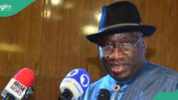 “Nigeria must stop off-cycle elections”, Jonathan declares, gives reason