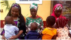 Troops hand over rescued Chibok school girls, children to Borno govt