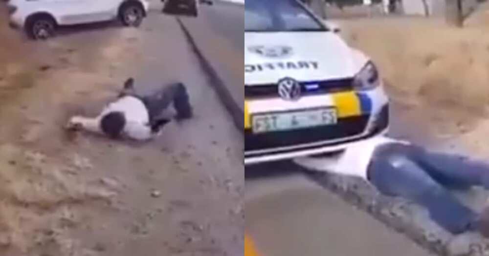 Clip of man behaving like a snake leaves Mzansi scratching their heads