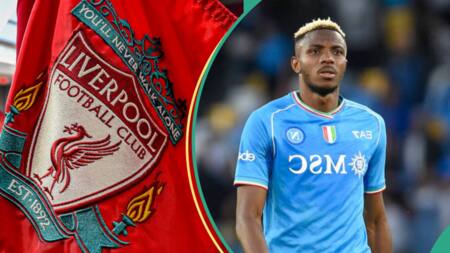 "Nunez's replacement": Liverpool set to beat PSG to the signing of Victor Osimhen