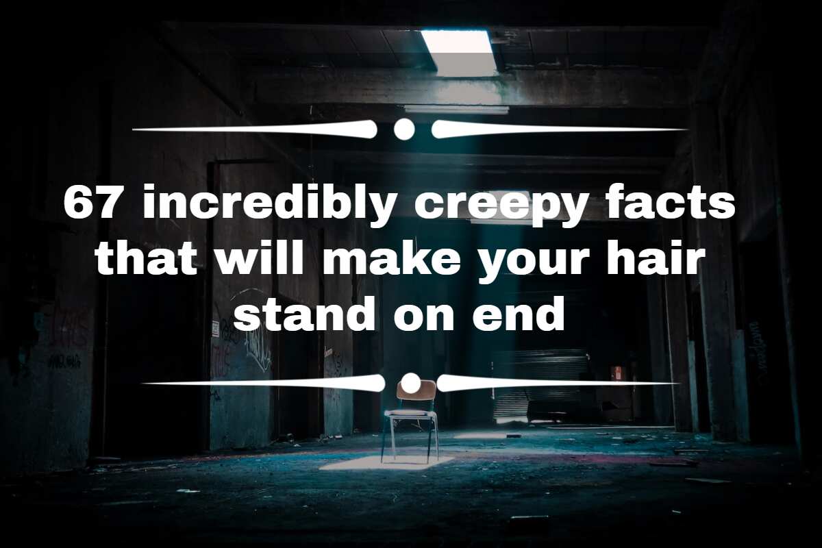 67 Incredibly Creepy Facts That Will Make Your Hair Stand On End - Legit.ng