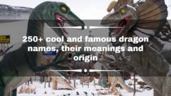 250+ cool and famous dragon names, their meanings and origin