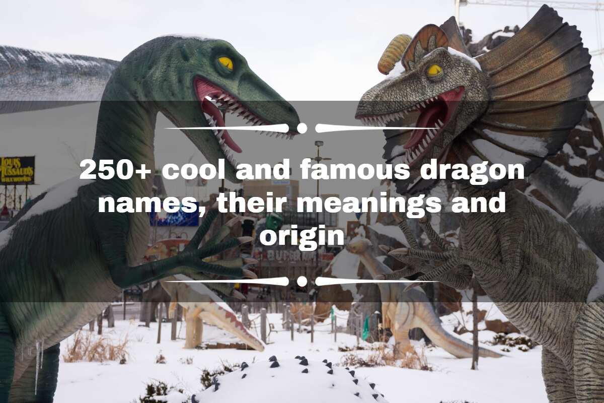 Types Of Dragons That You Will Watch Movies And Hear Myths About