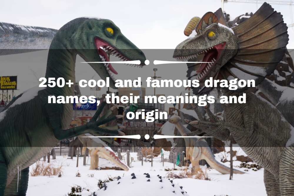 Blaze Through This List Of Famous Dragon Names