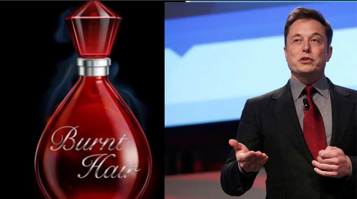 See how much is Elon Musk new perfume which made him $1m dollars richer in hours