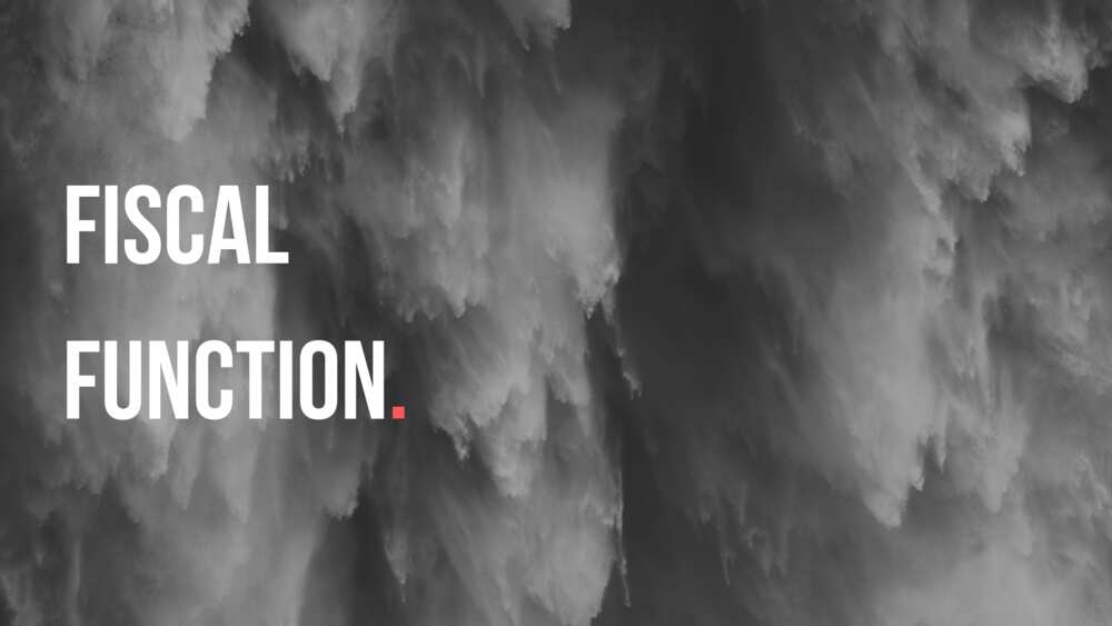 Fiscal functions of government in a state Fiscal functions of government in a state
