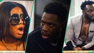 BBNaija Stars Mercy Eke, Soma, Angel shocked as house guest Jeff pays tribute to Mohbad, clip trends