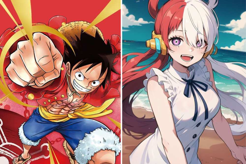 Which One Piece Filler Should You Watch? - Filler Episodes & Arcs