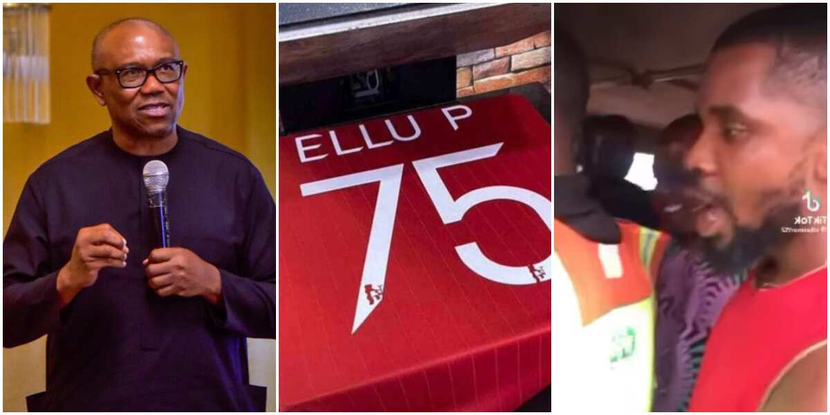 Watch moment Peter Obi's 'Ellu P' chnat came on inside nightclub