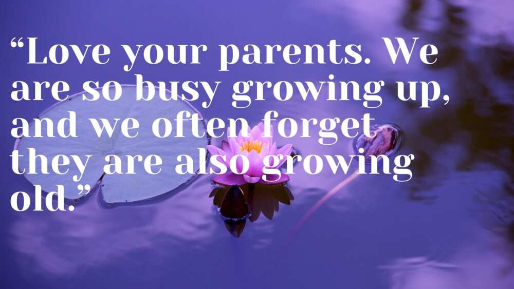 parents quotes