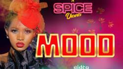 Enjoy the amazing new banger by Spice Diana - Mood