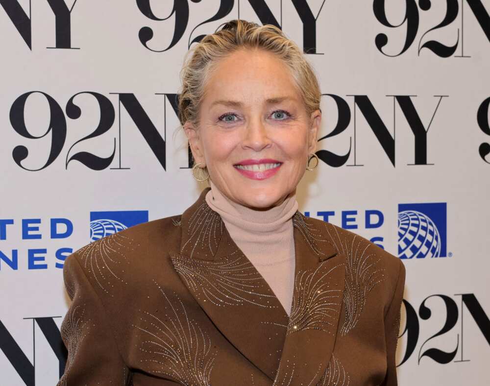 Sharon Stone at the Sharon Stone And Jerry Saltz Talk About Art