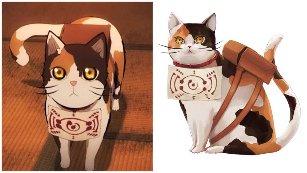 33 cutest anime cats: most popular kitties from films and shows 