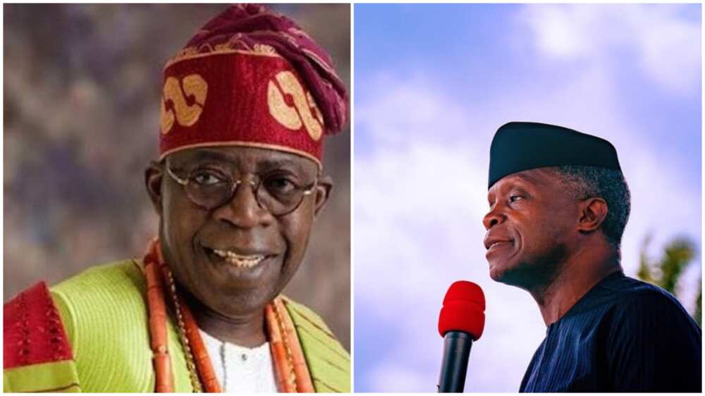 Arewa group declares support for Tinubu, wants parties to adopt him as only candidate