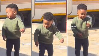 Adorable toddler boy joins trending Mnike dance challenge, netizens gush