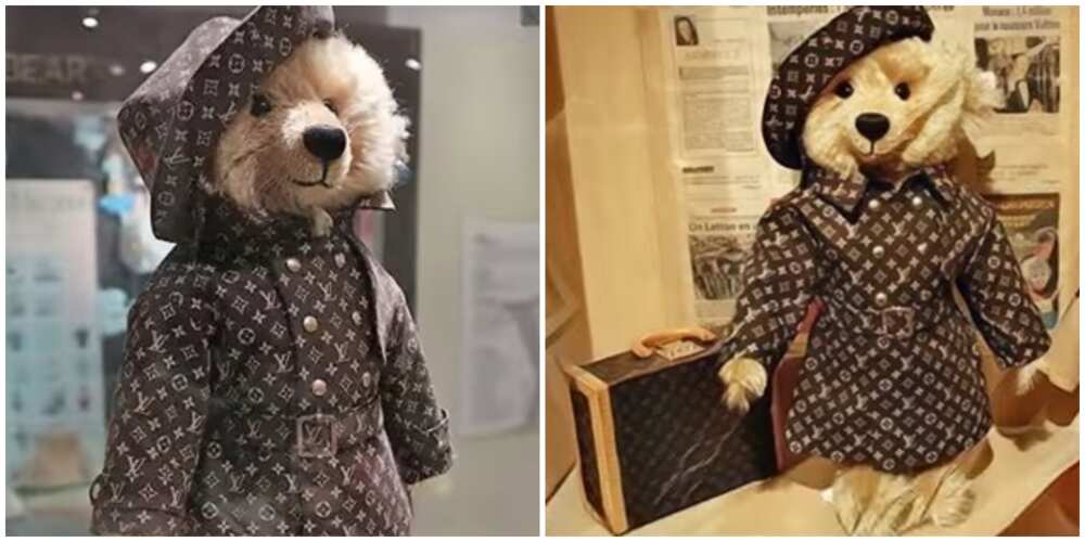 Photos of teddy bear in Louis Vuitton trench coat.