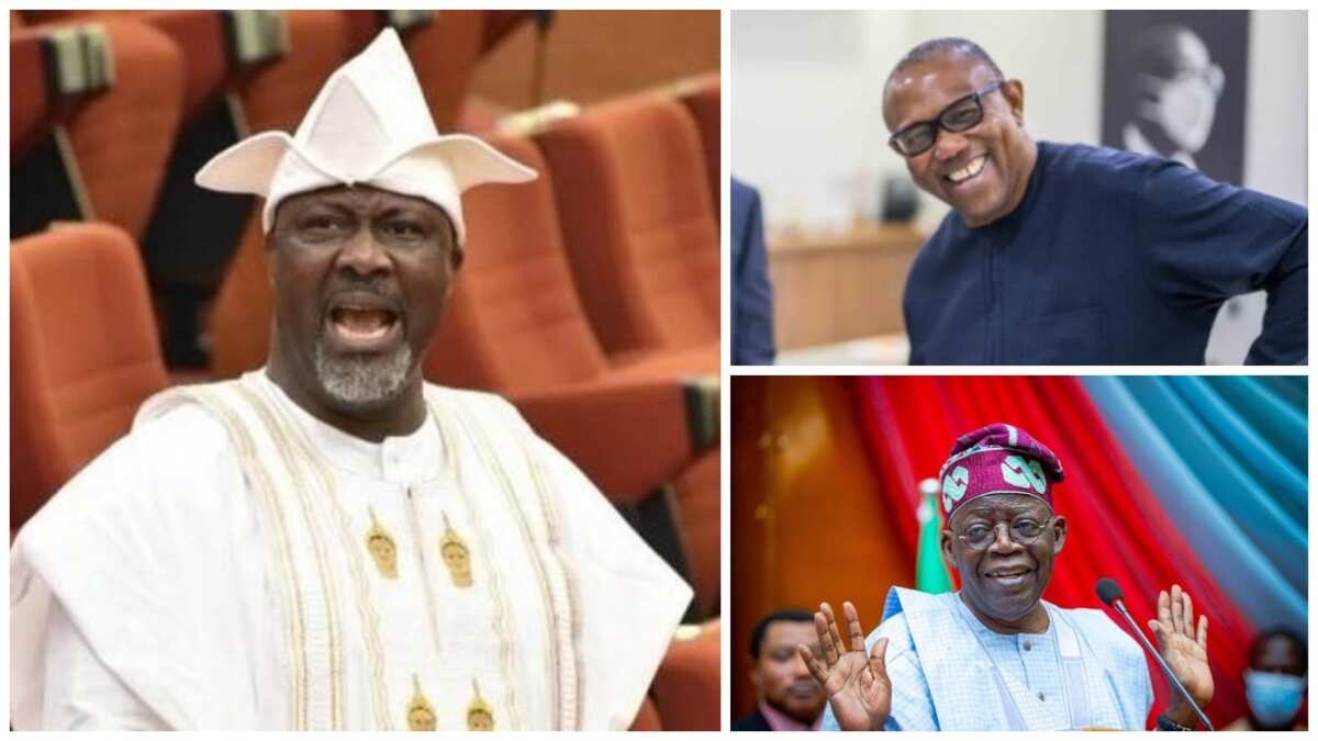 2023 Election Pdp Fires Shots At Apc Lp Reveals How Obi Will Help Tinubu Win Legit Ng