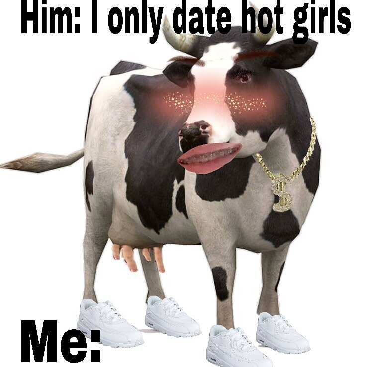 cow memes