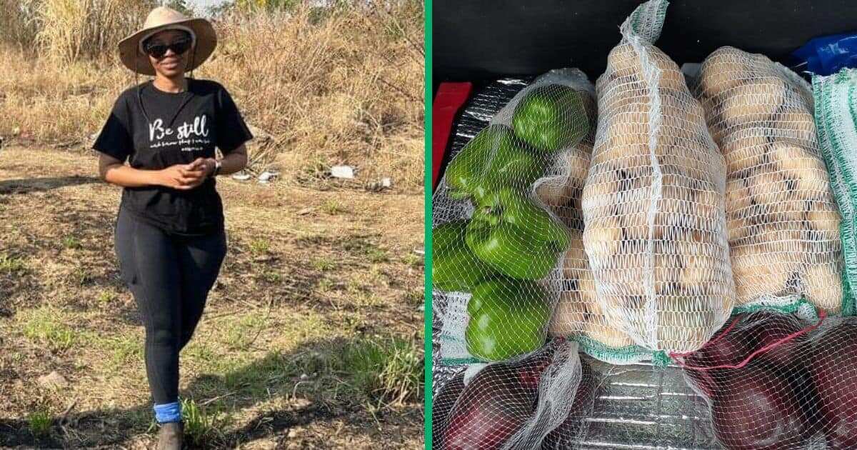 See the big harvest this lady had after she became farmer following sack from company (photos)