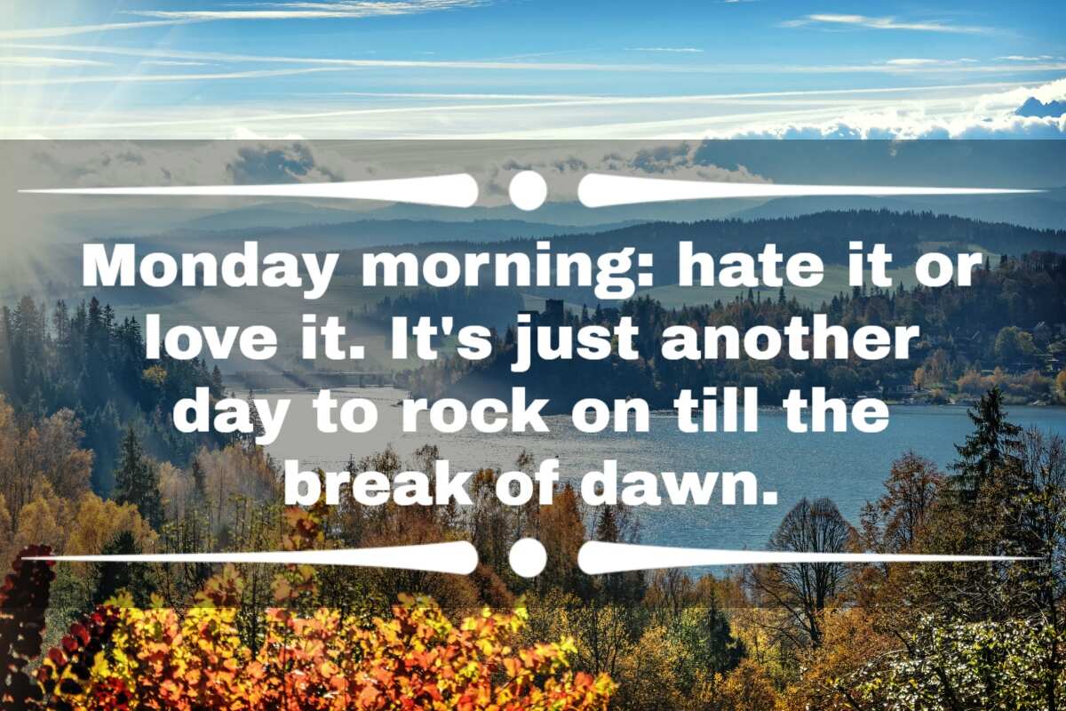 100 Funny Monday Quotes To Help You Start Your Week Right Legit ng