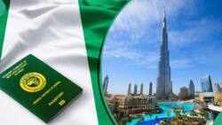 Nigerians affected as UAE announces 5-year multiple-entry tourist visa, issues steps to apply
