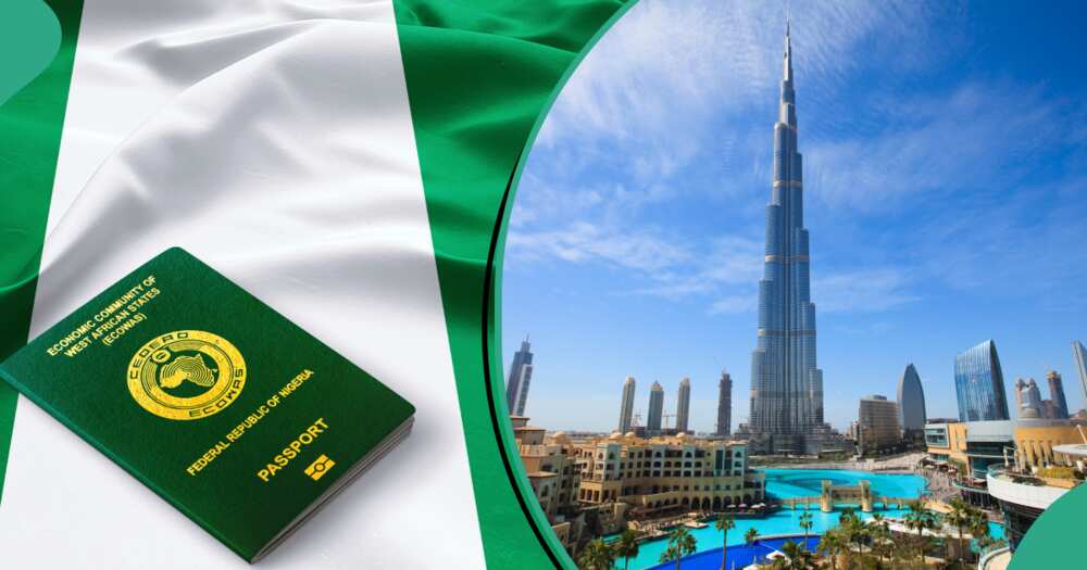 UAE release multiple tourist visa