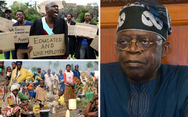 6 economic issues Tinubu must urgently tackle as president