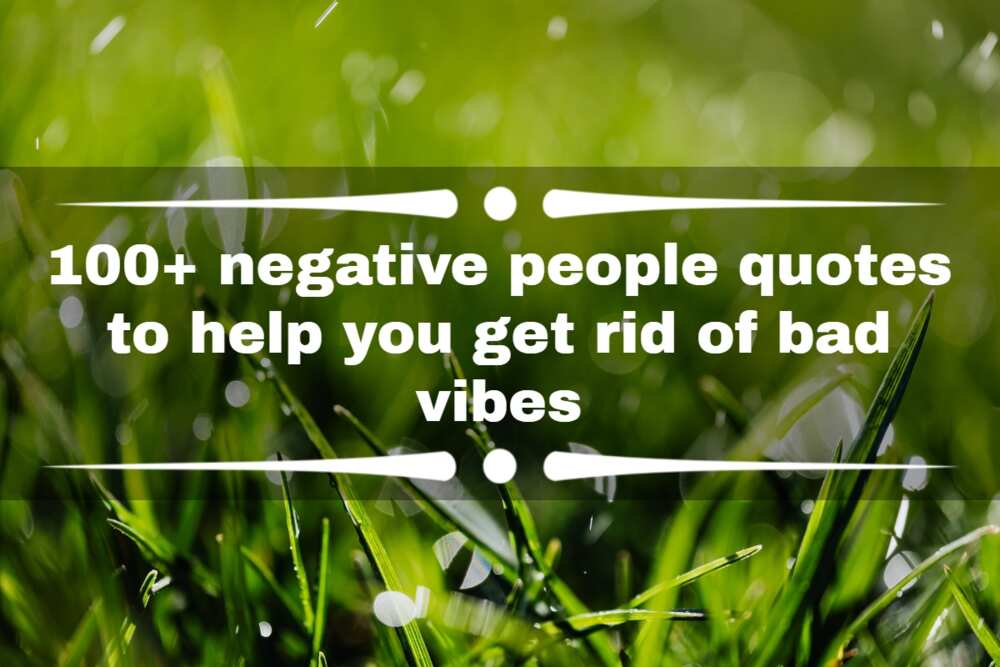 130+ Life Quotes to Attract the Best Vibes in Life