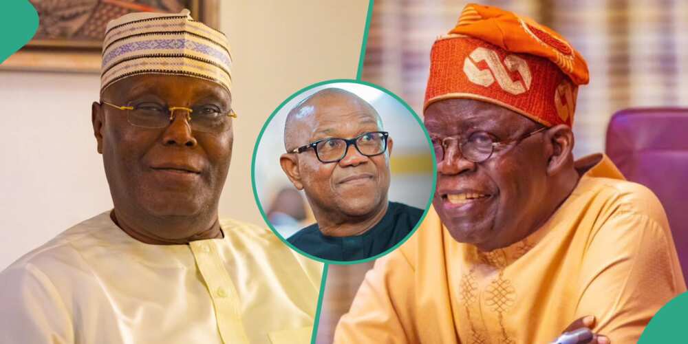 Atiku Abubakar, Bola Tinubu, APC, Peter Obi, PDP, LP, 2023 election