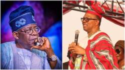 Yanzu-Yanzu: Peter Obi Ya Lallasa Tinubu A Akwatin Zaben Shugaban Kamfen Dinsa