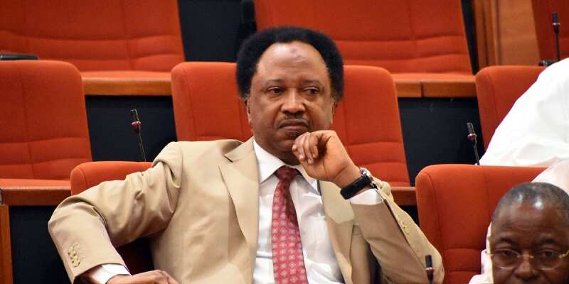 Shehu Sani, Nigerian governors, serving governors