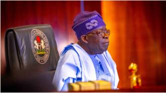Subsidy removal palliatives: Tinubu issues fresh directive to Shettima-led Economic Council