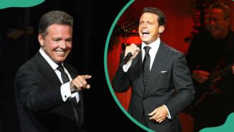 Who is Luis Miguel's wife? The full scoop on his relationship history