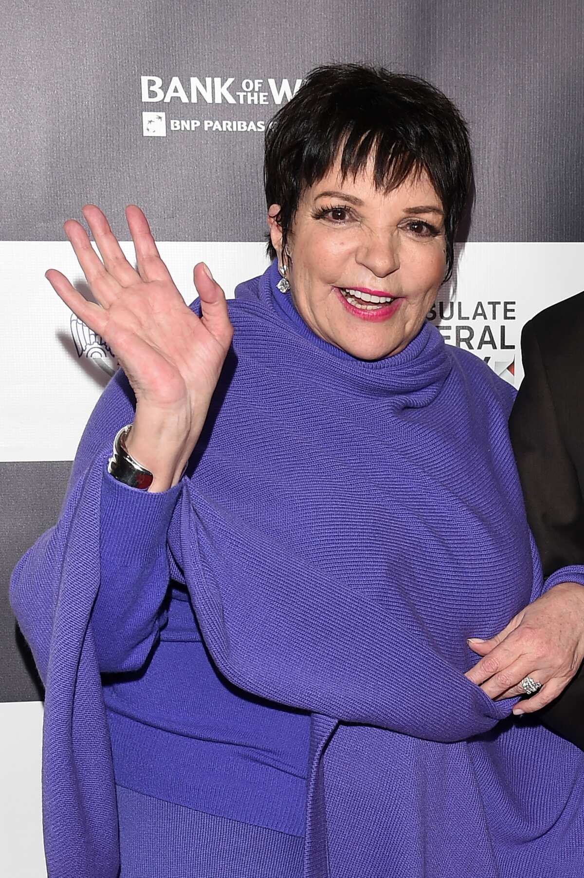 Liza Minnelli aujourd'hui âge, maladie, santé, carrière, photos Legit.ng