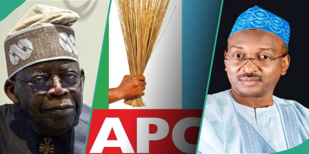 Lukman to sue APC over alleged party illegalities