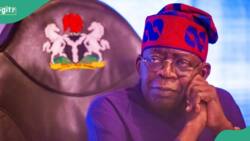 BREAKING: Tinubu gets 48-hour ultimatum to reverse CBN’s 0.5% cybersecurity levy, details emerge