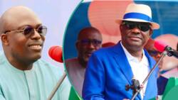 Rivers PDP: Is Ex-gov Wike's political dynasty waning?