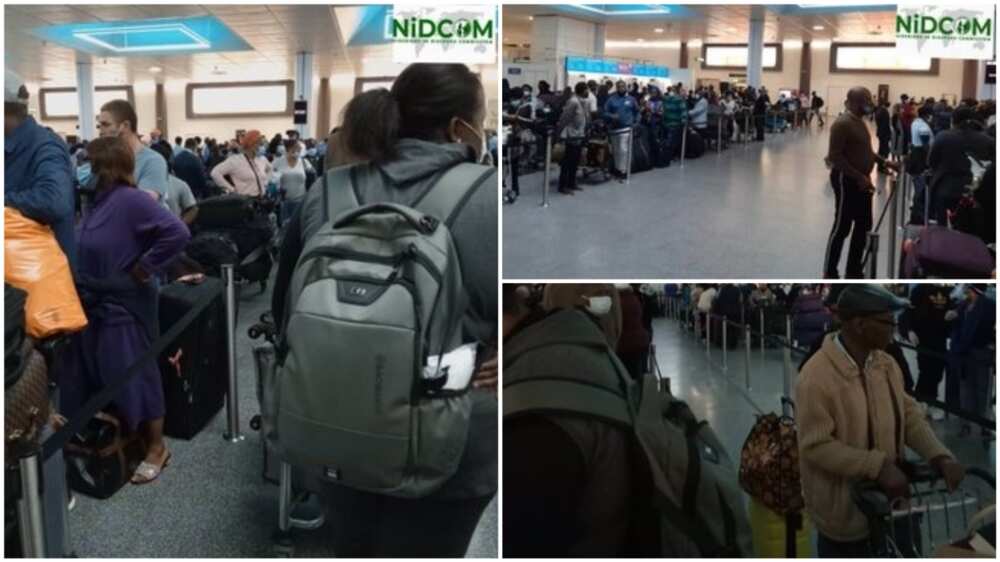A collage of the Nigerians at the airport. Photo source: Twitter/NIDCOM