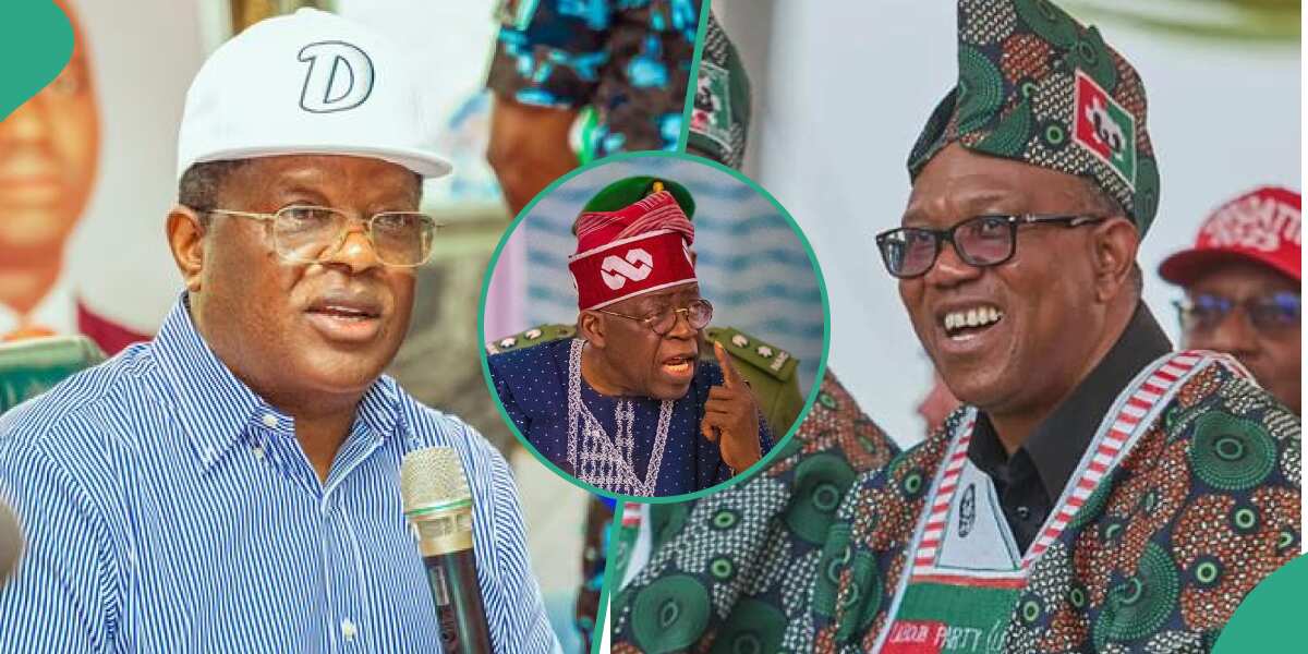 Tribunal Judgment: Why Peter Obi Should Support Tinubu, Umahi Reveals ...