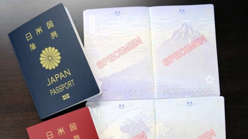 Japan tops as list of world's 10 most powerful passports for 2021 released