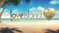 All you need to know about Love Island USA 2020: Cast, couples, end and start date