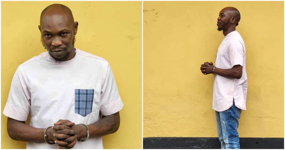 Seun Kuti Seun Kuti