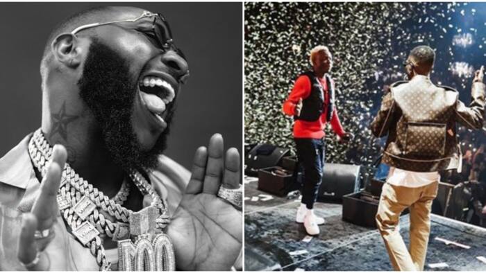"We rise by lifting others": Reactions as Wizkid's signee Starboy Terri performs at Davido's concert