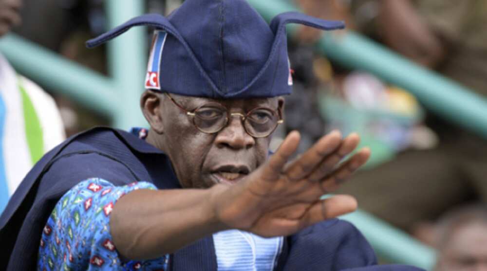 2023: Ban yanke shawara a kan takarar shugaban kasa ba - Tinubu