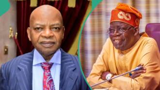 “Support Tinubu before we die”: Igbo Billionaire Arthur Eze mentions year Nigerians will experience change