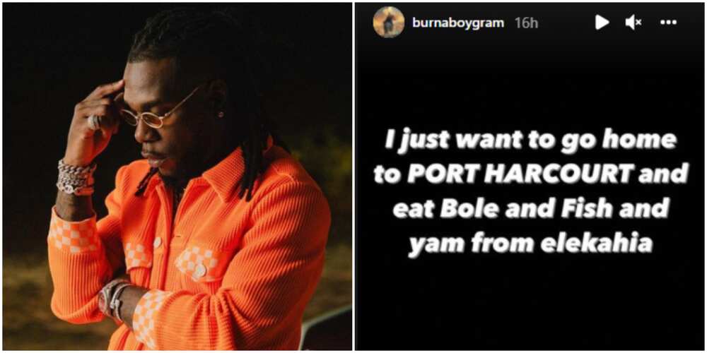Burna Boy reveals craving